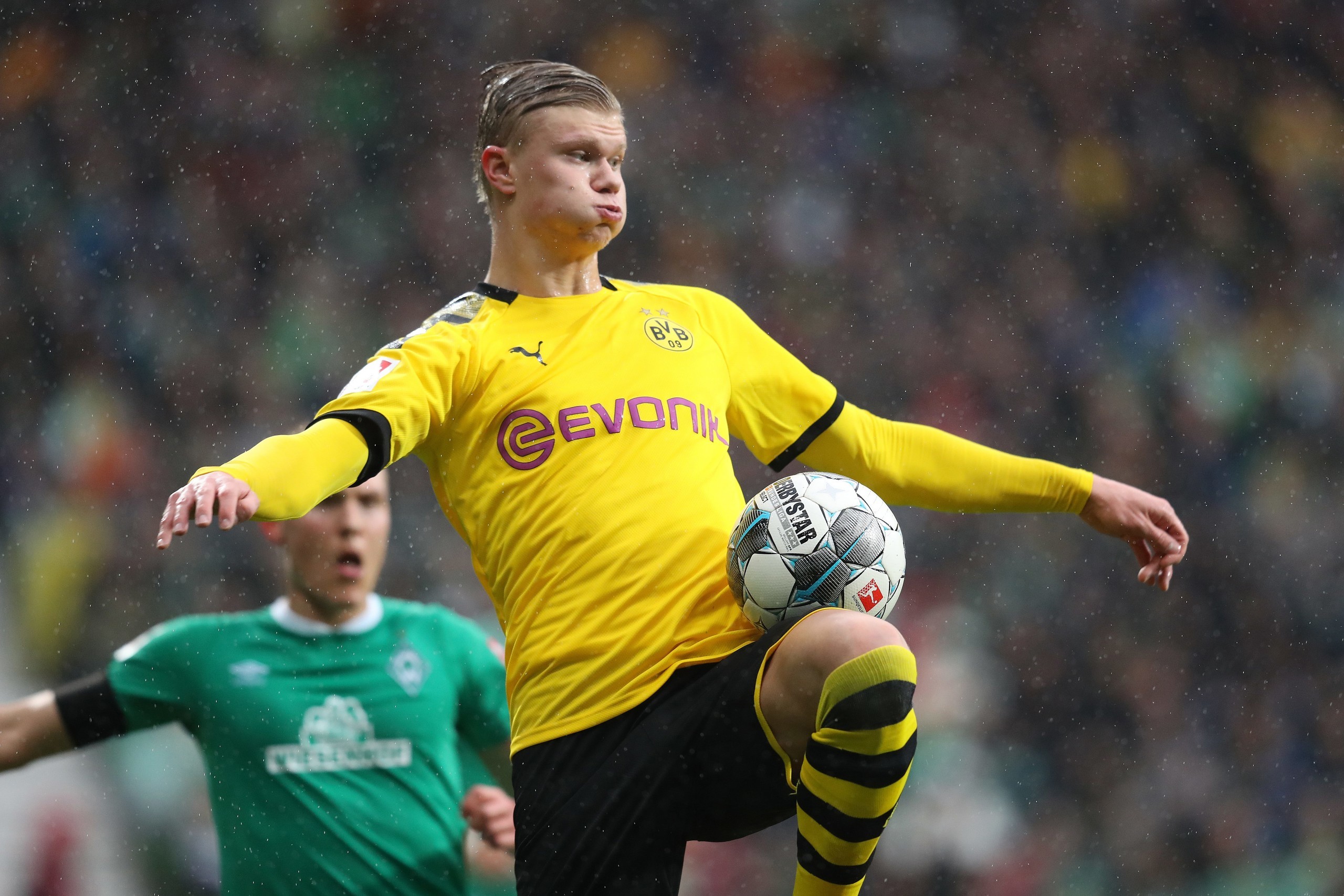 中国食品科学技术学会：保障特殊时期食品供应及安全